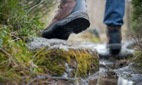 10 Best Snake Proof Boots 2023 [Top Hunting & Hiking Picks]