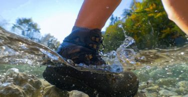 Best Waterproof Snake Boots