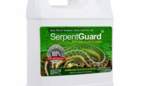Serpent Guard Snake Repellent Reviews 2023 – Is it Good for Money?