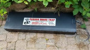 Cahaba Snake Trap