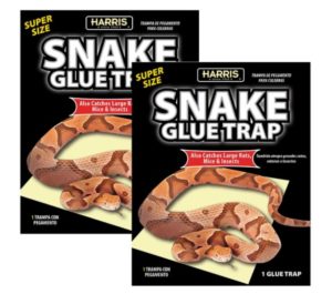 Harris Snake Glue Trap