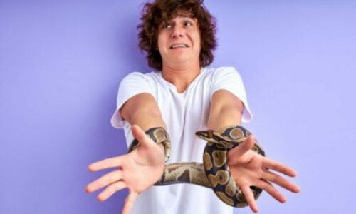 How to Overcome Fear of Snakes (Ophidiophobia)?
