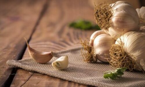 Does Garlic Repel Snakes? An Expert Opinion on the Subject