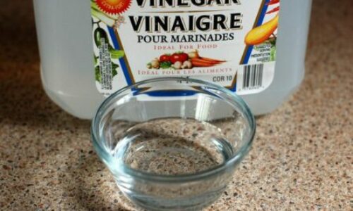 Does Vinegar Keep Snakes Away? Does Really Help?
