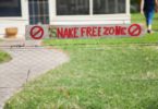 How to build a snake proof fence