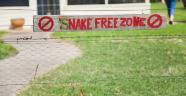 How to build a snake proof fence