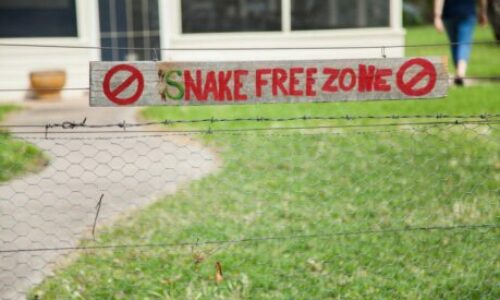 How to Build a Snake Proof Fence? – Building a Fence that Works!