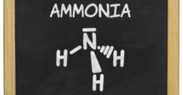 Does Ammonia Repel Snakes