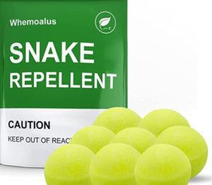 Does Snake Repellent Work