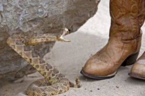 What Type Boots Do Need to Prevent Snake Bites
