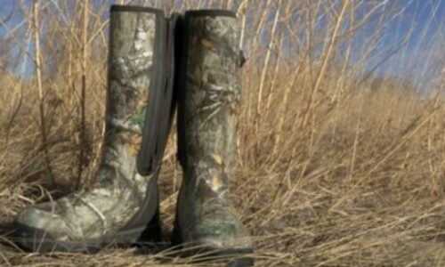 Are Muck Boots Snake Bite Proof? Should You Trust Them?