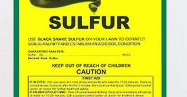 Does Sulfur Keep Snakes Away