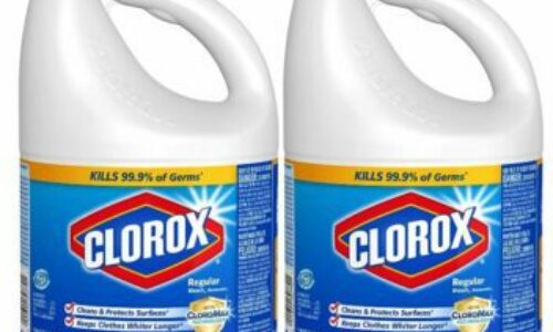 What will Clorox Do to a Snake