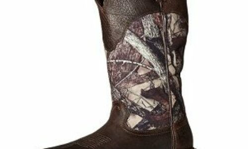 Ariat Snake Boots Review of 2022