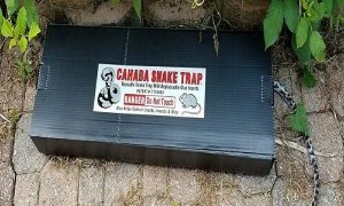 Cahaba Snake Trap Review of 2022 – Pros, Cons & Specs Explained