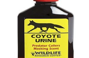 Does Coyote Urine Repel Snakes