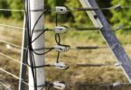 Does Electric Fence Keep Snakes Away